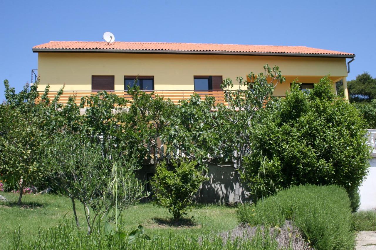 Apartments Suha Punta - Villa Babalonija Kampor 部屋 写真